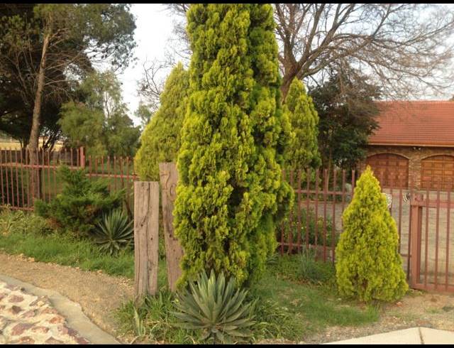 FARM FOR SALE IN BETHAL